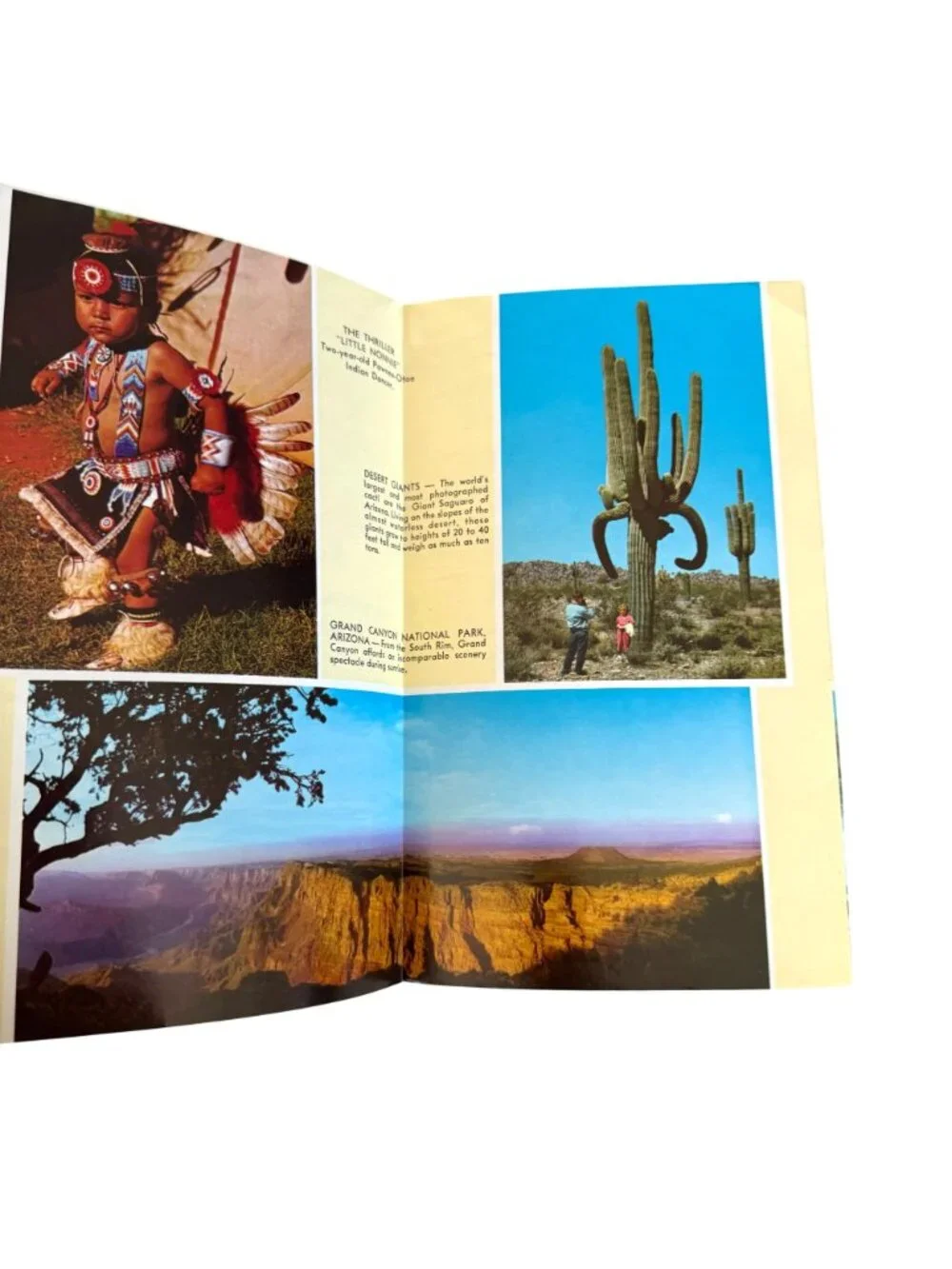 Arizona Map Don Bloodgood Fold Out VTG Cartoon Pic Tour Petley Travel Petley